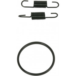 SPRING/ORING KIT RM250 - FMF011314 | Dr Rider