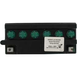 BATTERY YUASA HD DRY Y50-N18L- - Y50N18LA3 - Dr Rider