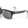 Lunettes de soleil OAKLEY Holbrook™ verres Prizm Black | Dr Rider