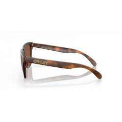 Lunettes de soleil OAKLEY Frogskins Verres Prizm Tungsten - Monture Matte Tortoise | Dr Rider