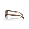 Lunettes de soleil OAKLEY Frogskins Verres Prizm Tungsten - Monture Matte Tortoise | Dr Rider