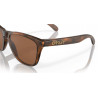 Lunettes de soleil OAKLEY Frogskins Verres Prizm Tungsten - Monture Matte Tortoise | Dr Rider