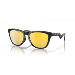 Lunettes de soleil OAKLEY Frogskins™ Hybrid verres Prizm 24k Polarized | Dr Rider