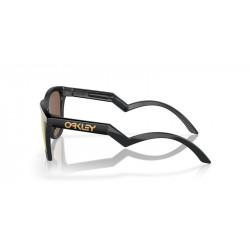 Lunettes de soleil OAKLEY Frogskins™ Hybrid verres Prizm 24k Polarized | Dr Rider