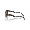 Lunettes de soleil OAKLEY Frogskins™ Hybrid verres Prizm 24k Polarized | Dr Rider