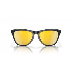 Lunettes de soleil OAKLEY Frogskins™ Hybrid verres Prizm 24k Polarized | Dr Rider