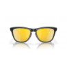 Lunettes de soleil OAKLEY Frogskins™ Hybrid verres Prizm 24k Polarized | Dr Rider