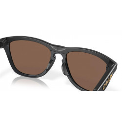 Lunettes de soleil OAKLEY Frogskins™ Hybrid verres Prizm 24k Polarized | Dr Rider
