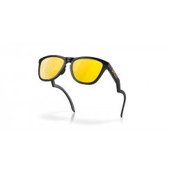 Lunettes de soleil OAKLEY Frogskins™ Hybrid verres Prizm 24k Polarized | Dr Rider