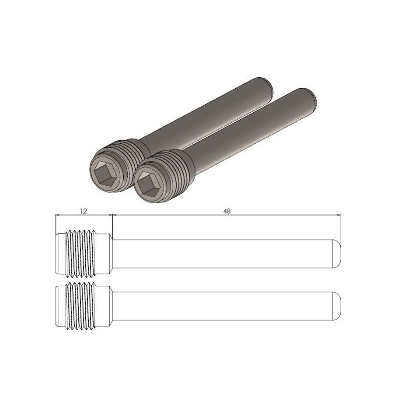 BRAKE PAD PIN - 17021162 - Dr Rider