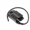 Bobine d'allumage TECNIUM - 1869962