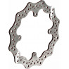 Disque de frein RFX Race pétale fixe - Dr Rider