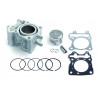 CYL KIT HON PCX 125 - 09310801