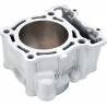 CYLINDER YAM YZ250F - 09310816