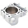 CYLINDER KAW KX250F - 09310819