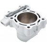CYLINDER KAW KX250F - 09310821