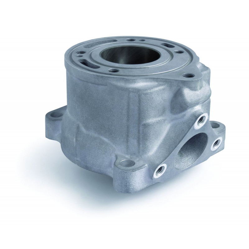 CYLINDER KTM 50 SX - 09310869