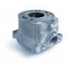 CYLINDER KTM 50 SX - 09310869