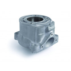 CYLINDER KTM 65 SX - 09310870