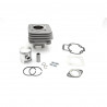 CYLINDER KIT PIAGGIO AC ALUM 4 - 09311148 | Dr Rider