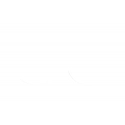 FORK SEAL RSD2 30X40X8/9 - 04070205