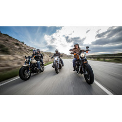 Pneu MICHELIN SCORCHER 11 (HARLEY-D) 130/60 B 21 M/C 63H TL - Dr Rider