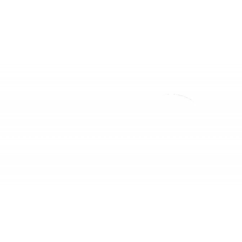 FORK SEAL RS 48X61X11 - 04070216