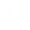 FORK SEAL RS 48X61X11 - 04070216