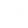 FORK SEAL RSD2 31.7X42X7/9 - 04070231