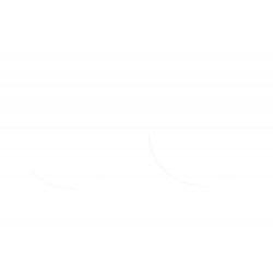 FORK SEAL RSD2 36X46X7/9 - 04070237
