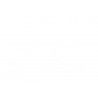 FORK SEAL RSD2 36X46X7/9 - 04070237