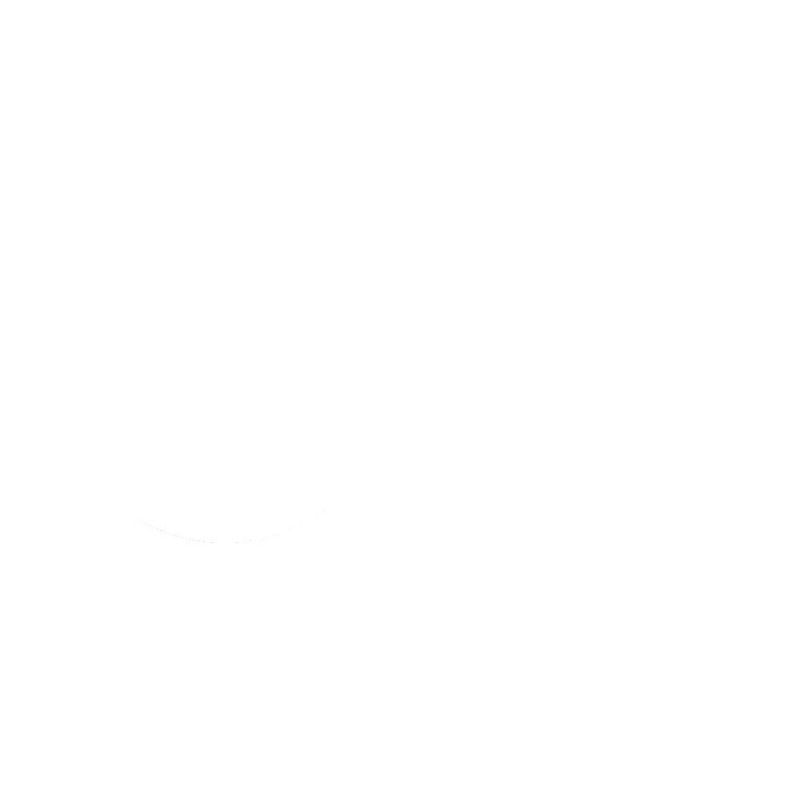 FORK SEAL RSD2 35X47X7/9 - 04070241