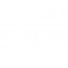 FORK SEAL RSD2 30X40X7/9 - 04070243