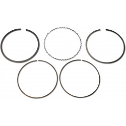 PISTON RING SET - 09120101