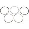 PISTON RING SET - 09120101