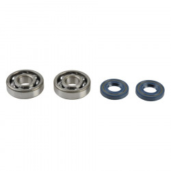 CRANKSHAFT REBUILDING KIT  - 09210199 | Dr Rider
