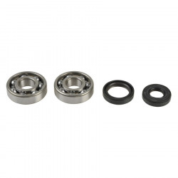 CRANKSHAFT REBUILDING KIT  - 09210200 | Dr Rider