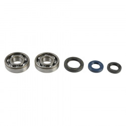 CRANKSHAFT REBUILDING KIT  - 09210204 | Dr Rider