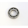 BEARING 6205/C3-SKF - 09240151