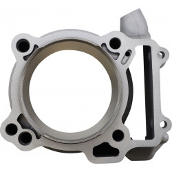 CYLINDER KIT DRZ/KFX - 09310015