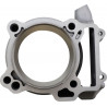 CYLINDER KIT DRZ/KFX - 09310015